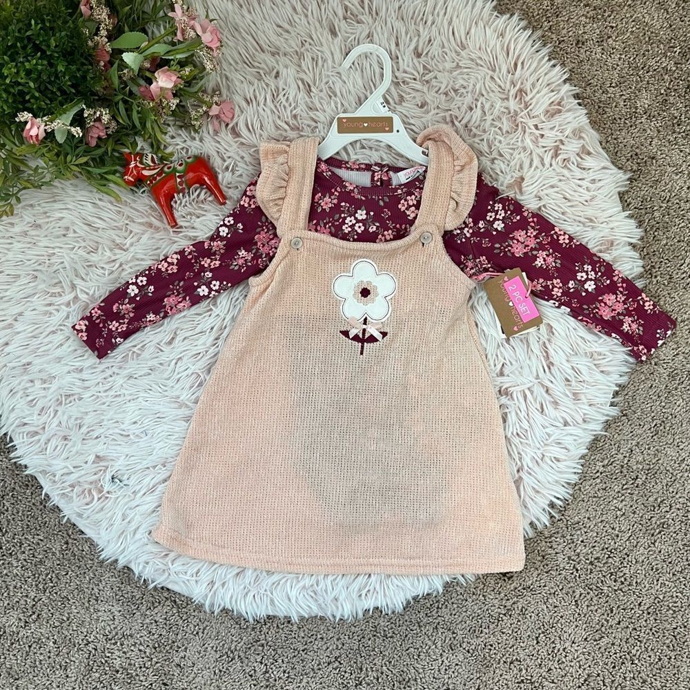 Young Hearts NWT Pink Maroon‎ Floral Soft Sweater Jumper Dress 2pc Set 24M